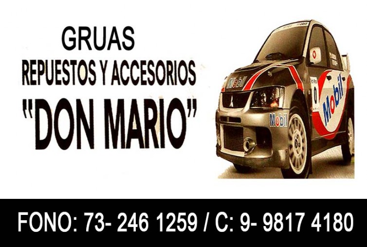 REPUESTOS DON MARIO